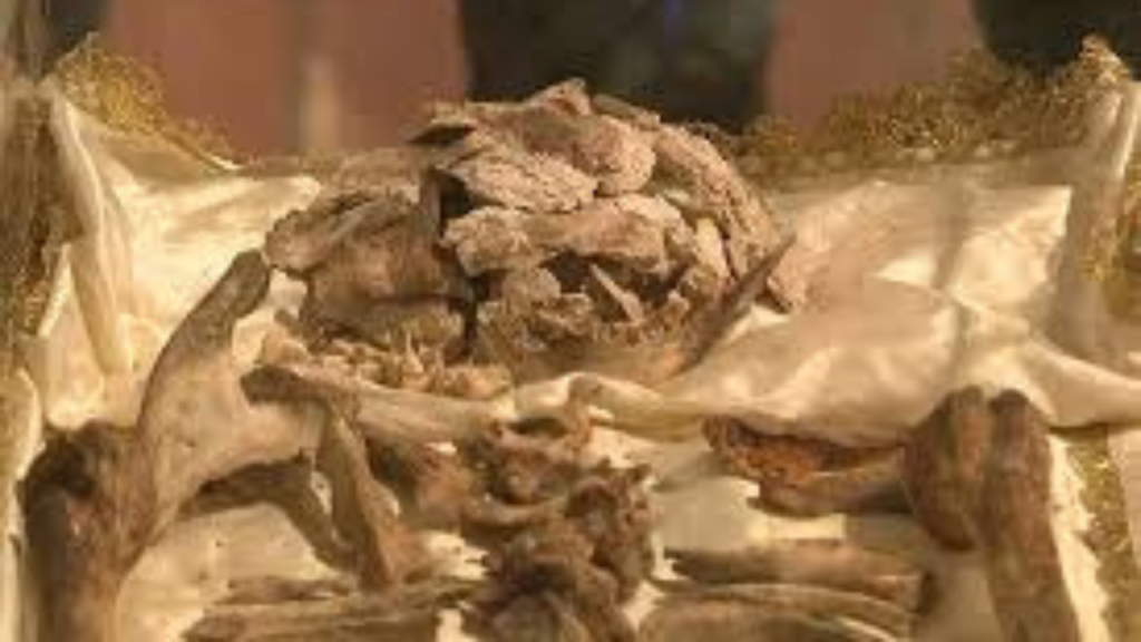 The first public exposition of St. Francis of Assisi's skeleton