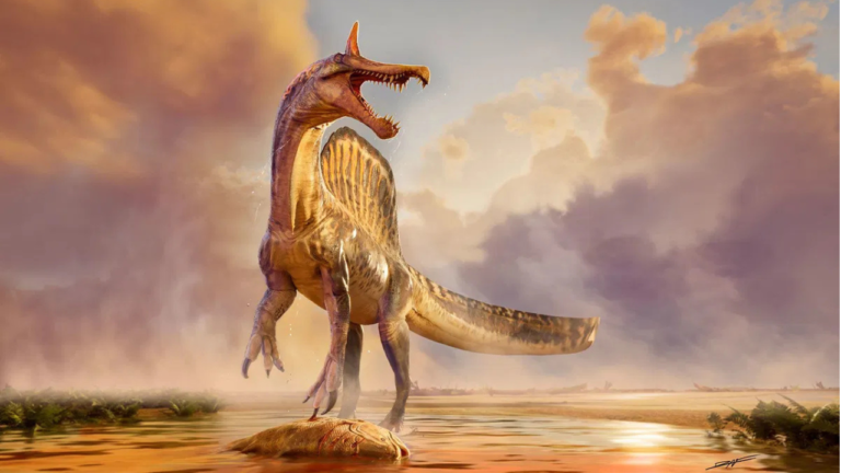 A recently found "hell heron" contributes to the ongoing dinosaur controversy