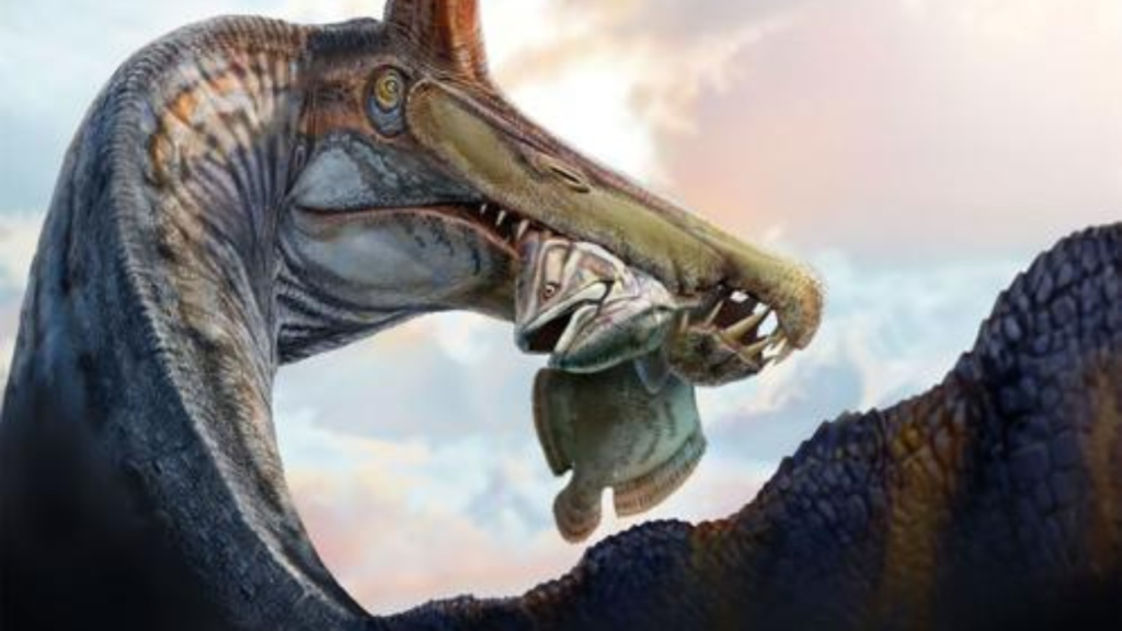 A recently found "hell heron" contributes to the ongoing dinosaur controversy